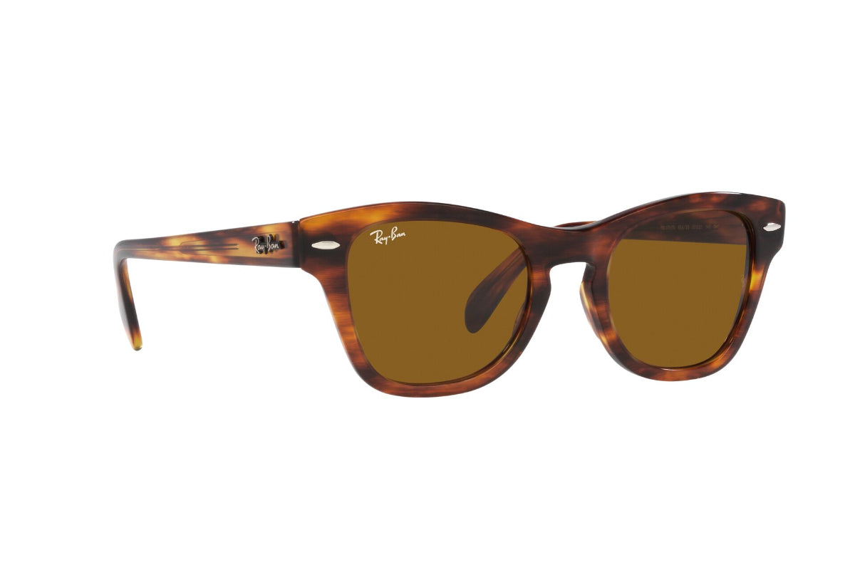 Ray-Ban Lentes de Sol